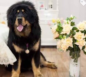 image.jpg (49.78 КБ, Просмотров: 4628) image.jpg