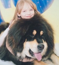 image.jpg (101.61 КБ, Просмотров: 2418) image.jpg