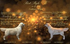 IMG_220251861009568.jpeg (32.25 КБ, Просмотров: 1530) IMG_220251861009568.jpeg