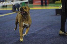 cfb_ksd5UNE - копия.jpg (17.12 КБ, Просмотров: 9201) cfb_ksd5UNE - копия.jpg