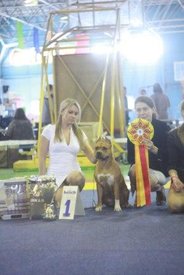 PB4xCUlL7DE - копия.jpg (22.65 КБ, Просмотров: 9786) PB4xCUlL7DE - копия.jpg