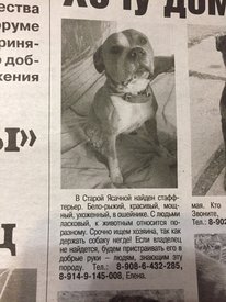 потеряшка.jpeg (332.35 КБ, Просмотров: 1618) потеряшка.jpeg