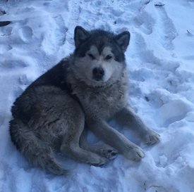 1.jpg (155.55 КБ, Просмотров: 1424) 1.jpg