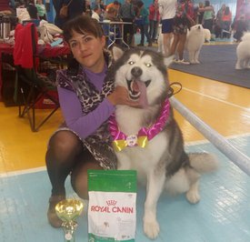 2016-11-20 14.05.50.jpg (246.25 КБ, Просмотров: 3390) 2016-11-20 14.05.50.jpg