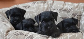 о.jpg (52.15 КБ, Просмотров: 33356) о.jpg