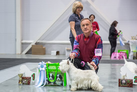 Маршал_1.JPG (141.82 КБ, Просмотров: 1919) Маршал_1.JPG