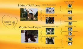 макет2_1.jpg (85.63 КБ, Просмотров: 1602) макет2_1.jpg