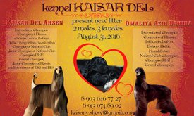 макет14 (1)1.jpg (135.89 КБ, Просмотров: 1602) макет14 (1)1.jpg