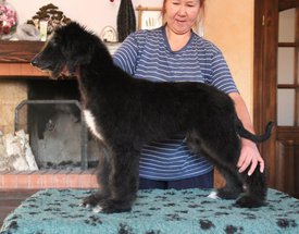 IMG_8421_1.jpg (115.63 КБ, Просмотров: 1585) IMG_8421_1.jpg