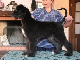 IMG_8427_1.jpg (118.48 КБ, Просмотров: 1582) IMG_8427_1.jpg