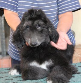 IMG_8431_1.jpg (84.61 КБ, Просмотров: 1582) IMG_8431_1.jpg