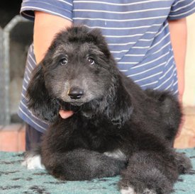 IMG_8442_1.jpg (94.95 КБ, Просмотров: 1582) IMG_8442_1.jpg