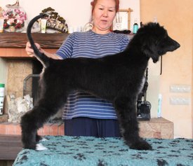 IMG_8321_1.jpg (104.89 КБ, Просмотров: 1562) IMG_8321_1.jpg