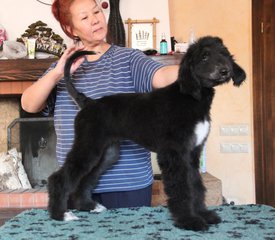 IMG_8332_1.jpg (106.58 КБ, Просмотров: 1565) IMG_8332_1.jpg