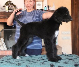 IMG_8336-1.jpg (110.29 КБ, Просмотров: 1565) IMG_8336-1.jpg