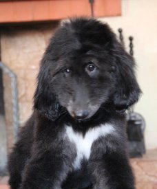 IMG_8338_1.jpg (81.23 КБ, Просмотров: 1562) IMG_8338_1.jpg