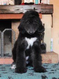 IMG_8350_1.jpg (101.19 КБ, Просмотров: 1565) IMG_8350_1.jpg