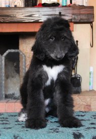 IMG_8351_1.jpg (99.59 КБ, Просмотров: 1565) IMG_8351_1.jpg