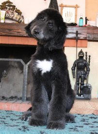 IMG_8287_1.jpg (106.35 КБ, Просмотров: 1541) IMG_8287_1.jpg