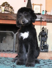 IMG_8284_1.jpg (104.94 КБ, Просмотров: 1544) IMG_8284_1.jpg