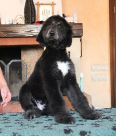 IMG_8280_1.jpg (93.05 КБ, Просмотров: 1541) IMG_8280_1.jpg