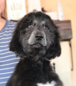 IMG_8276_1.jpg (74.42 КБ, Просмотров: 1544) IMG_8276_1.jpg