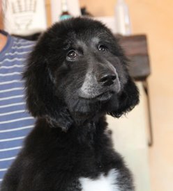 IMG_8275_1.jpg (70.68 КБ, Просмотров: 1541) IMG_8275_1.jpg