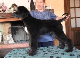 IMG_8254_1.jpg (116.31 КБ, Просмотров: 1541) IMG_8254_1.jpg