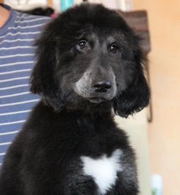 IMG_8274_1.jpg (73.3 КБ, Просмотров: 1541) IMG_8274_1.jpg