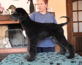 IMG_8258_1.jpg (112.46 КБ, Просмотров: 1544) IMG_8258_1.jpg