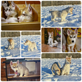 000000000.jpg (265.54 КБ, Просмотров: 1713) 000000000.jpg