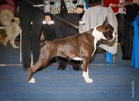 IMG_4079.jpg (122.38 КБ, Просмотров: 10447) IMG_4079.jpg