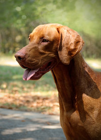 image.jpeg (257.43 КБ, Просмотров: 1404) image.jpeg