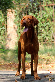 image.jpeg (295.77 КБ, Просмотров: 1404) image.jpeg