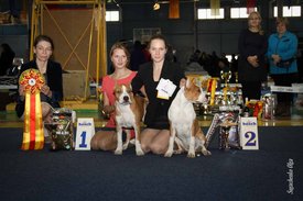 IMG_4136.jpg (122.48 КБ, Просмотров: 10449) IMG_4136.jpg