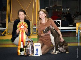 IMG_4139.jpg (120.56 КБ, Просмотров: 10594) IMG_4139.jpg