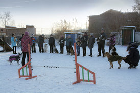 DSC_5119.jpg (752.77 КБ, Просмотров: 7480) DSC_5119.jpg