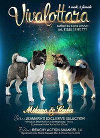 ASOXASPHNL8.jpg (178.93 КБ, Просмотров: 8567) ASOXASPHNL8.jpg