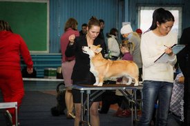 IMG_4276-2.jpg (105.02 КБ, Просмотров: 10451) IMG_4276-2.jpg