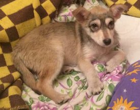 viber image4.jpg (36.39 КБ, Просмотров: 1574) viber image4.jpg