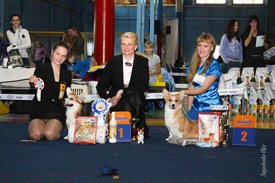 IMG_4322.jpg (136.89 КБ, Просмотров: 10717) IMG_4322.jpg