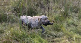 wVYf1NwJvA8.jpg (211.65 КБ, Просмотров: 3634) wVYf1NwJvA8.jpg