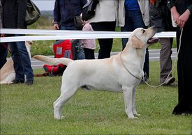 рома томск.jpg (72.07 КБ, Просмотров: 3639) рома томск.jpg