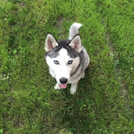 IMG_20170114_143040_41.jpg (164.68 КБ, Просмотров: 1630) IMG_20170114_143040_41.jpg