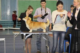 IMG_4380.jpg (123.14 КБ, Просмотров: 10592) IMG_4380.jpg