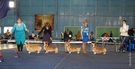 IMG_4446.jpg (113.28 КБ, Просмотров: 10318) IMG_4446.jpg