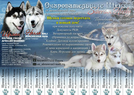 00000.jpg (190.93 КБ, Просмотров: 1695) 00000.jpg