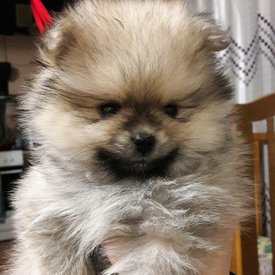 9eBA3nN9kJ0.jpg (283.41 КБ, Просмотров: 1363) 9eBA3nN9kJ0.jpg