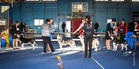 IMG_4568.jpg (138.67 КБ, Просмотров: 10447) IMG_4568.jpg