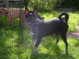 2gQmd0g8.jpg (59.37 КБ, Просмотров: 5945) 2gQmd0g8.jpg